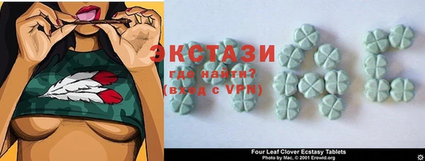 стаф Аркадак