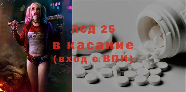стаф Аркадак