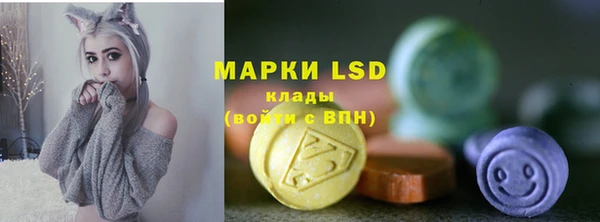 стаф Аркадак