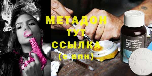 стаф Аркадак