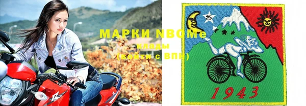 стаф Аркадак
