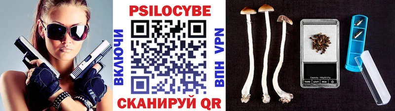 Псилоцибиновые грибы GOLDEN TEACHER Осташков